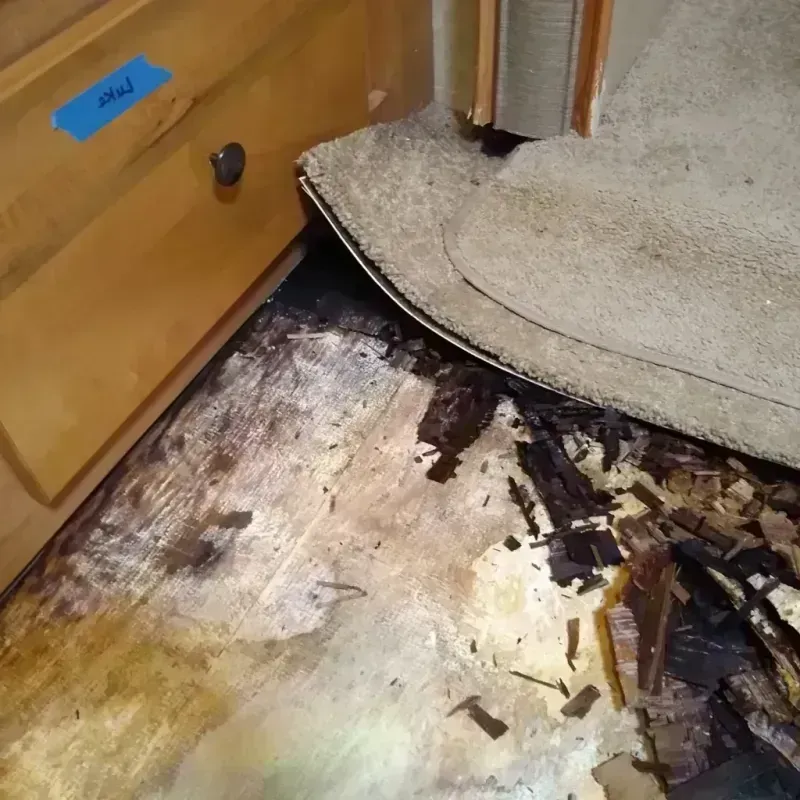 Wood Floor Water Damage in Ricardo, TX